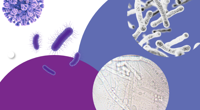 With #IDWeek2026 approaching (October 21–24), we’ll be watching how well respiratory vaccines…